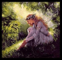 FAIRY GIFT SURPRISE