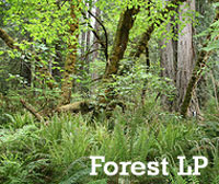 Forest Lucky Parcel