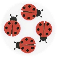 Spring Bug Dotee Doll!