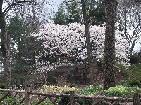 April is Poetry Month