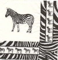 Safari & Animal Fun 