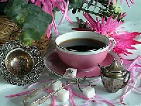 Lets have a Tea Party US ONLY