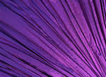 I ♥ PURPLE swap!