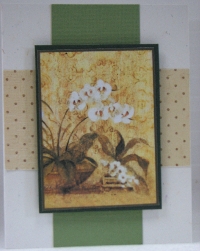 Handmade Card Nature theme