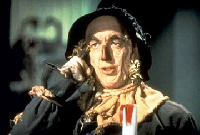 Wizard of Oz Dotee~Series #1