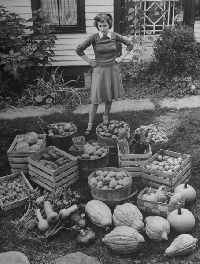 Victory Garden