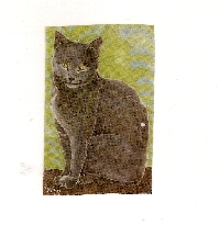 Packing Tape Transfer ATC's