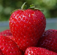 Strawberry Dotee Doll Swap!