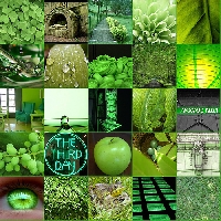 Colour Postcards - GREEN