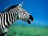Africa