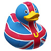 rubber duckie 