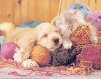 Be Kind, Rewind-Yarn Swap