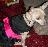 Chihuahua and toy size dogs..