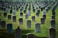 Cemetery Photo Swap