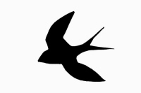 Things with wings