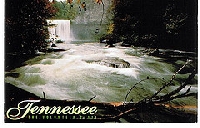 June:Postcards, pretty please! 
