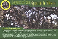 Legend of... Postcard
