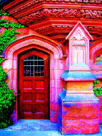 Window or Door to Your Dreams ATC- International