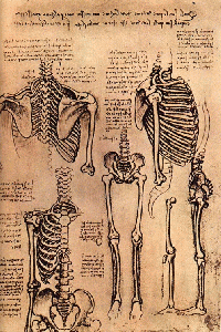 VIVISect VI-Anatomy ATC Swap