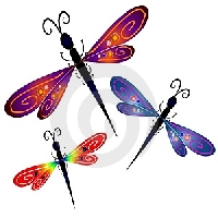 Dragonfly Handmade Postcard Swap