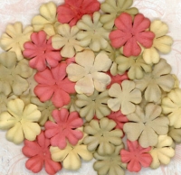 Paper Flower Swap II