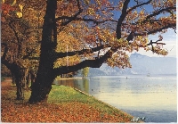 Choose Your Own Postcards - INTL