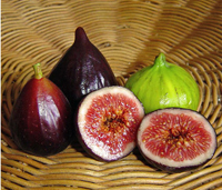 E-recipes by Alphabet: F is for Figs!