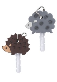 Key Cover Swap