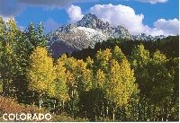 Fall Splendor postcard swap