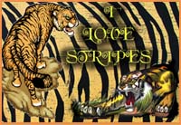 Tiger Tiger ATC-International Swap