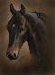 Fugly Horse Of The Day Christmas Swap!