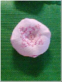 private biscornu smudge/spuraway
