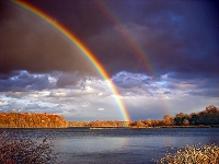 Rainbow colour swap-Adults 
