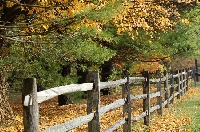 *Autumn Wonderland*