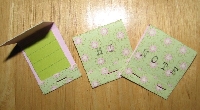 Matchbook Notepads International ~ Sender's Choice