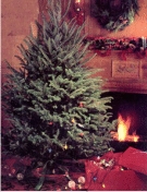 Christmas Future ATC #3