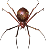 Halloween Series ATC-Spider
