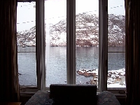 Out My Window