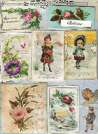 250 Count Victorian Matchbox Swap