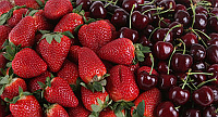 Red and Fruity