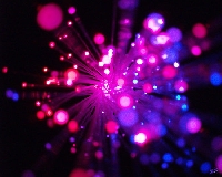 Sparkletastic dotee!