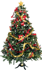 Usa Christmas Scavenger Hunt $10