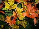 Yellow and Orange Goodies