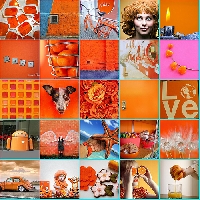 Outrageously Orange Sticker Swap