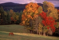 Favorite Fall Festive Foods Email Swap