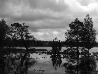 - Black & White Postcard swap -