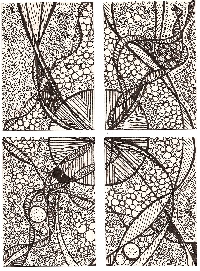Zentangle ATC Quad