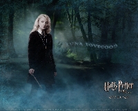 Winter Ornaments – Harry Potter