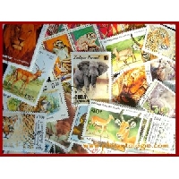 Theme collection #1 : animals