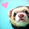 Ferret ATC